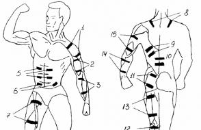 EMS trening: može li električna stimulacija mišića zamijeniti vježbe u teretani?