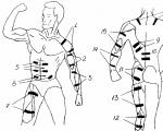 Entraînement EMS : la stimulation musculaire électrique peut-elle remplacer les exercices en salle de sport ?