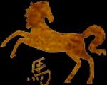 Konj Taurus scropio - konj