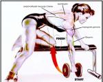 Barbell row lying on an incline bench Errors during the exercise