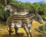Kokie buvo laukiniai šiuolaikinių arklių protėviai?
